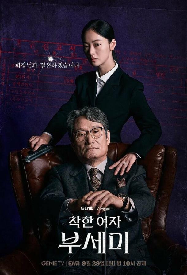 Госпожа Инкогнито / Хорошая женщина Бу Се Ми